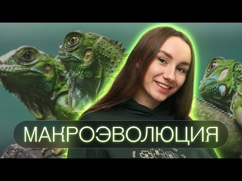 Видео: Макроэволюция | Катя Грицай | Биология ЕГЭ