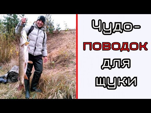 Видео: Чудо-поводки для щуки. Быстро удобно и дешево.