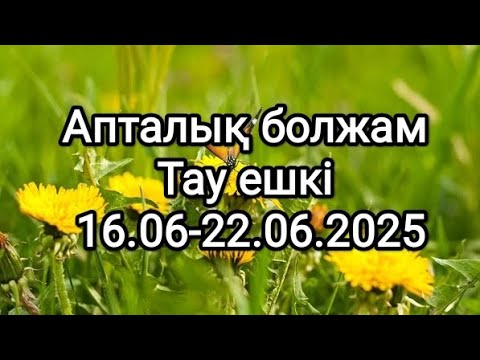 Видео: Таро апталық болжам