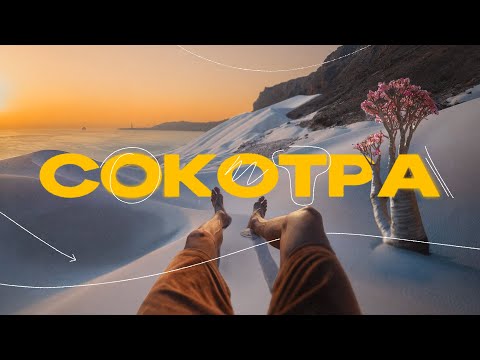 Видео: Затерянный остров Йемена! Сокотра - это точно другая планета!
