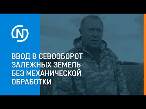 Видео: Ввод в севооборот залежных земель без механической обработки