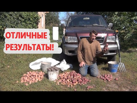 Видео: КАРТОФЕЛЬ,ОСЕННЯЯ ПОСАДКА  - РЕЗУЛЬТАТЫ ЭКСПЕРИМЕНТА !!!