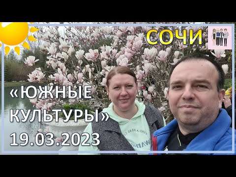 Видео: Прогулка в парке "Южные культуры" 19.03.2023 года