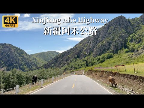 Видео: Проезжаем по живописному шоссе вдоль границы Китая и Монголии — шоссе Ахэ — 4K