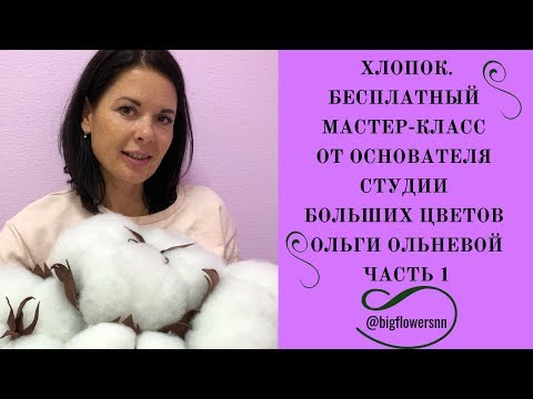 Видео: ХЛОПОК I БЕСПЛАТНЫЙ МАСТЕР-КЛАСС от основателя Студии Больших цветов Ольги Ольневой I Часть 1.