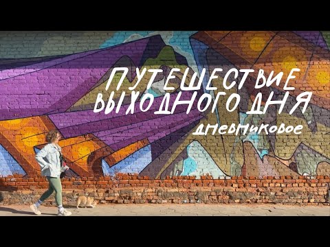 Видео: Простая жизнь | гуляем по Орехово-Зуево | лес Саула