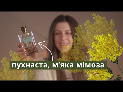 Видео: МІМОЗА в АРОМАТАХ 🌼 ТОП-12