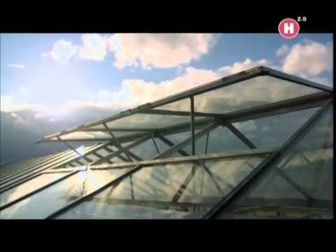 Видео: Микроклональное размножение растений