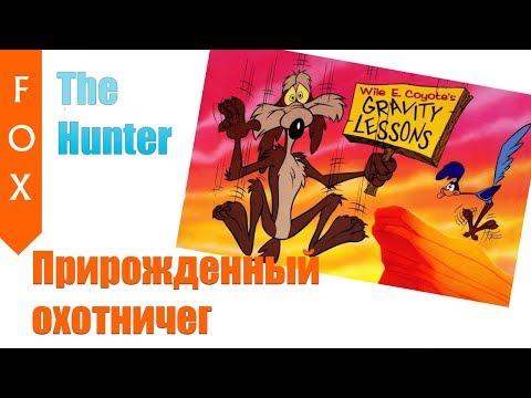 Видео: The Hunter на фазана