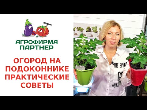 Видео: ОГОРОД НА ПОДОКОННИКЕ. ПРАКТИЧЕСКИЕ СОВЕТЫ