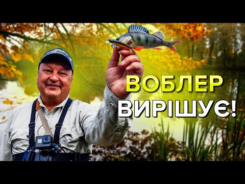 Видео: Окунь на воблери восени. Жодної мікрухи, тільки твіч! )