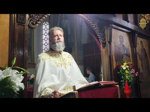 Видео: Не схватајте олако спасење! 