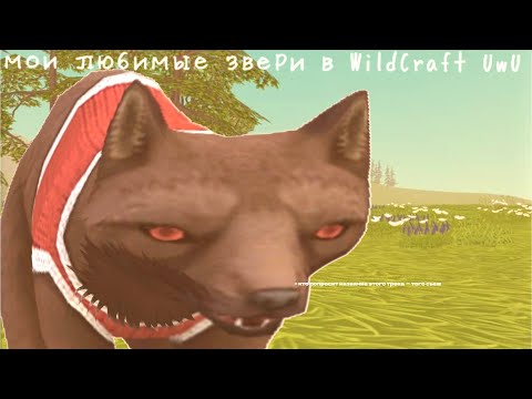 Видео: МОИ ЛЮБИМЫЕ ЗВЕРИ В WILDCRAFT 🫠 // ИДЕЯ @DARKSPEAKERMANWILDCRAFT 💫