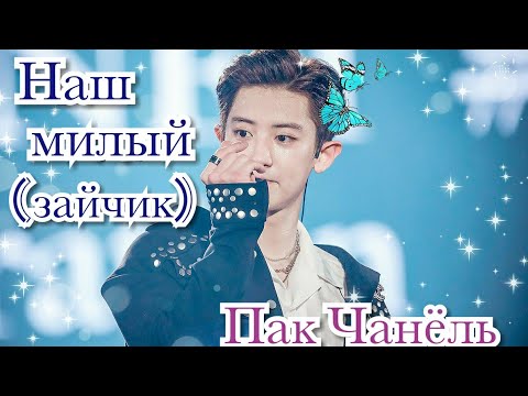 Видео: Пак Чанёль / 박 잔 열 ❤️ Мы любим тебя. Милые и смешные моменты с хищным зайкой.