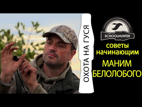 Видео: Маним белолобого. Охота на гусей. Работа с манком