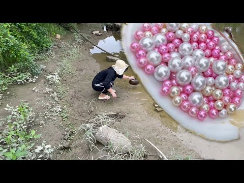 Видео: Я собирал мидии в озере, и у меня были огромные жемчужины и много маленьких розовых жемчужин.