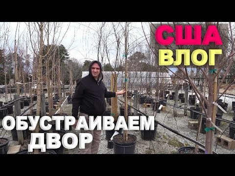 Видео: Обустраиваем двор, посадили деревья! Сами не ожидали,что купим это... Покупки для дома в питомнике