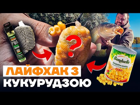 Видео: Лови Більше КОРОПА! Робочий Лайфхак з Кукурудзою на короповій риболовлі 2022