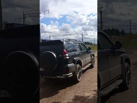 Видео: 10 ноября 2025 г.