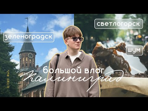 Видео: Большой влог из Калининграда | Форум ШУМ | Светлогорск и Зеленоградск | Сентябрь 