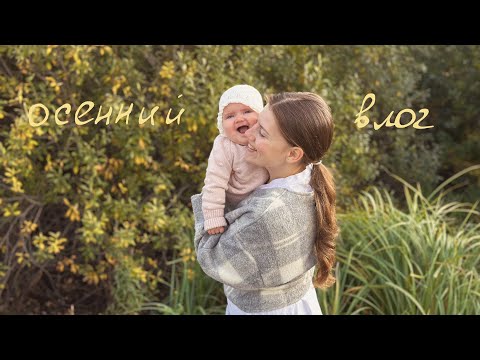 Видео: уютный slow life vlog, как перевозить торты в машине, сборка и рисунки на бенто в домашних условиях