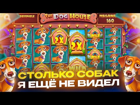 Видео: ПРОСТО НА НА*УЙ, МЕГА СЕССИЯ ! ПОЙМАЛ ЛЮТЫЙ ЗАНОС 3 ЛЯМА В THE DOG HOUSE MEGAWAYS ( ЗАНОСЫ НЕДЕЛИ )