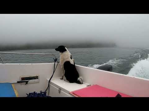 Видео: Шантарские острова  2021