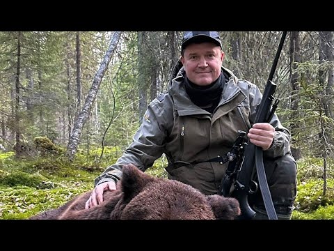 Видео: Охота на медведя у привады весной 2023. Слабонервным не смотреть.