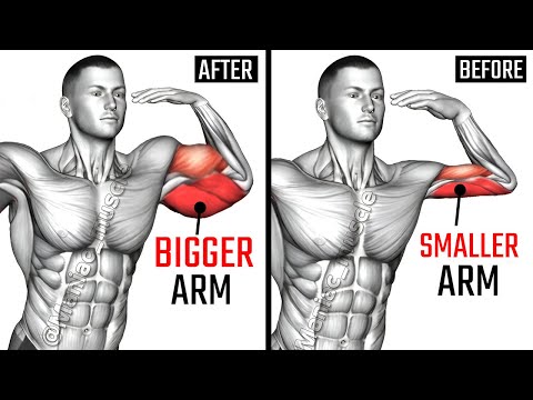 Видео: 16 лучших упражнений на бицепс и трицепс для больших рук в спортзале