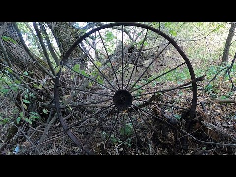 Видео: Домик пчеловода порадовал! МЕТАЛЛО КОП