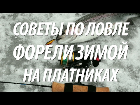 Видео: ЛОВЛЯ ФОРЕЛИ ЗИМОЙ НА ПЛАТНИКАХ - СОВЕТЫ БЫВАЛЫХ РЫБАКОВ