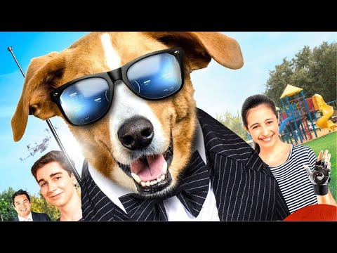 Видео: СМЕШНОЙ СЕМЕЙНЫЙ ФИЛЬМ ПРО ПСА-АГЕНТА! Пес под прикрытием. Приключенческие Фильмы