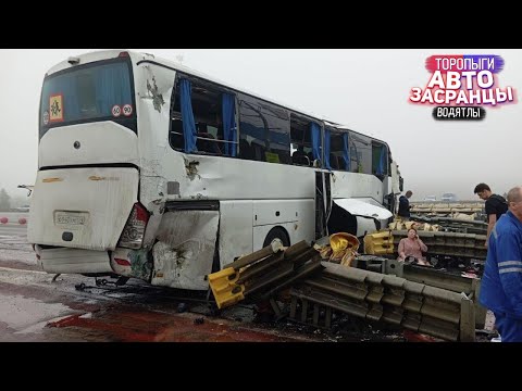 Видео: Алё, Кися, я в аварию попал! Торопыги и Водятлы ДТП Август