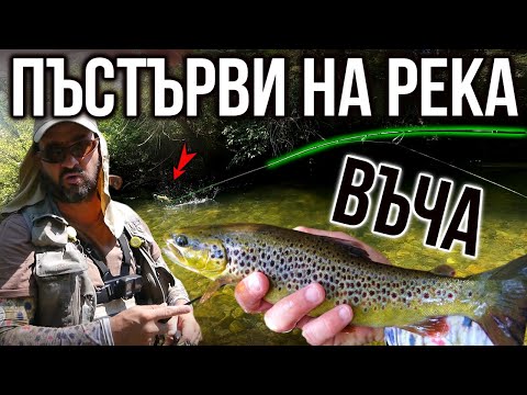 Видео: РИБОЛОВ на балканска ПЪСТЪРВА на р. ВЪЧА - КАК ДА ловим с ултралайт спининг?