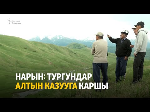 Видео: Нарын: тургундар алтын казууга каршы