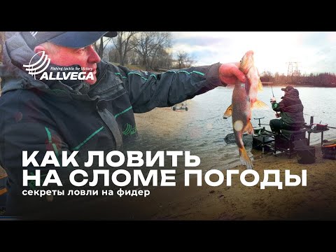 Видео: Секреты ловли фидером на сломе погоды