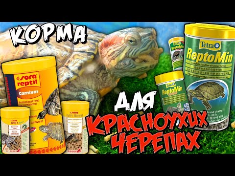 Видео: КАКИМИ КОРМАМИ МОЖНО КОРМИТЬ КРАСНОУХИХ ЧЕРЕПАХ▷ОБЗОР германских КОРМОВ Sera и Tetra
