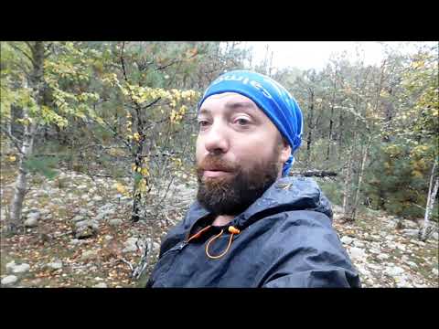 Видео: Атака грибов на человека. Сбор белых грибов с сентябре.