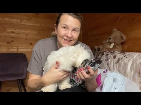 Видео: РАСПАКОВКА ДЛЯ МОЛЛИ🔥#иринаимолли #мальтеземолли 