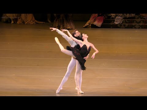 Видео: "Лебединое озеро": В. Терёшкина-Одиллия, В. Шкляров-Зигфрид, А. Ермаков-Ротбарт (11.11.22, МТ2).