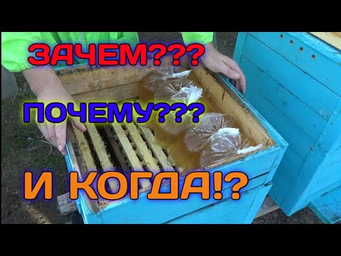 Видео: Надёжная Подготовка Пасеки к Зиме,