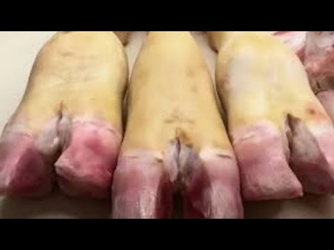 Видео: Рецепт Еды Бедняка