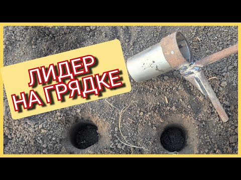 Видео: Приспособление для Посадки Томатов, Картофеля, Перца. Сажалка для Рассады.