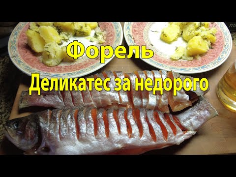 Видео: Самая вкусная вяленая форель