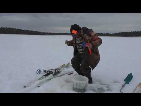 Видео: Карельская рыбалка на лесном озере! Апрель!