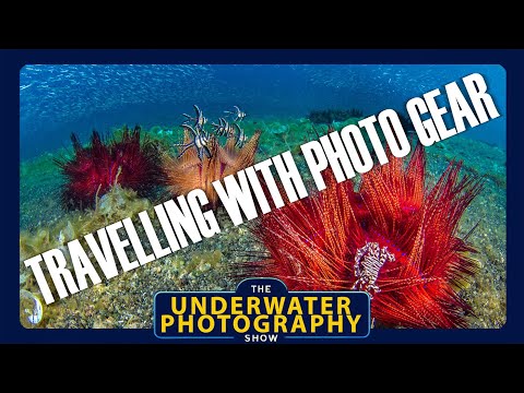 Видео: Как путешествовать с (большим количеством) оборудования для подводной фотосъемки