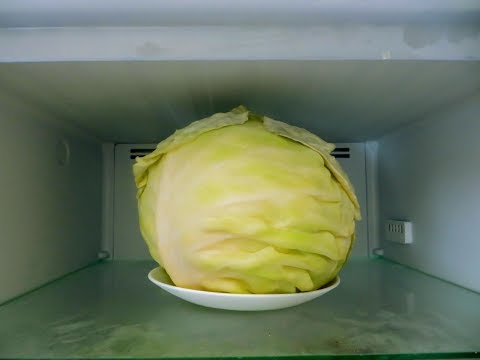 Видео: Замораживаем кочан капусты! Голубцы с мясом по бабушкиному рецепту