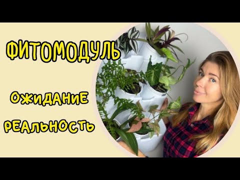 Видео: ФИТОМОДУЛЬ: все купили и я купила. Нюансы, о которых никто не говорит