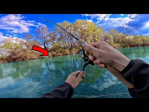 Видео: Риболов на Балканска пъстърва по река Въча