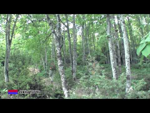 Видео: 13 Епизода (сезона 1) - Водно - Матка 1 дел